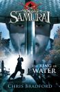 Ring Of Water (Young Samurai, Book 5) - Preview
