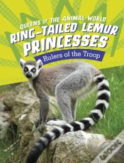 Capa do artigo Ring-Tailed Lemur Princesses