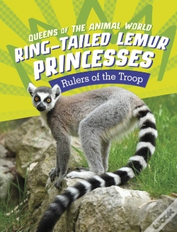 Capa do artigo Ring-Tailed Lemur Princesses