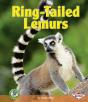 Ring-Tailed Lemurs - Preview