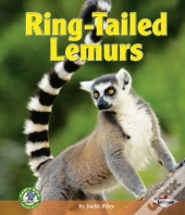 Ring-Tailed Lemurs