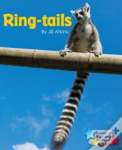 Capa do artigo Ring-Tails
