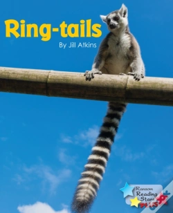 Capa do artigo Ring-Tails