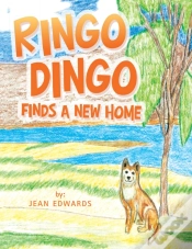 Capa do artigo Ringo Dingo Finds A New Home