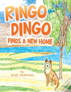 Capa do artigo Ringo Dingo Finds A New Home