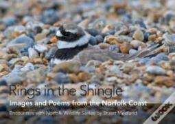 Rings In The Shingle