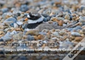 Capa do artigo Rings In The Shingle