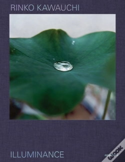 Capa do artigo Rinko Kawauchi: Illuminance