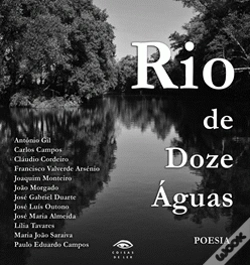 Capa do artigo Rio de Doze Águas