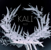 Capa do artigo Riot - CD