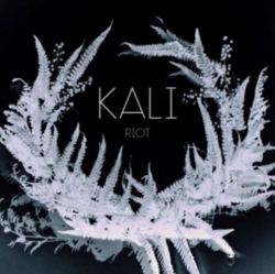 Capa do artigo Riot - CD