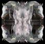 RIP Chrysalis - CD - Preview