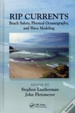 Capa do artigo Rip Currents