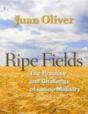 Ripe Fields - Preview