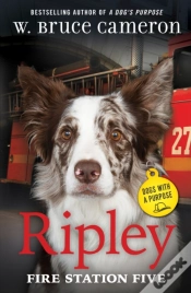 Capa do artigo Ripley: Fire Station Five