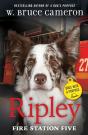 Ripley: Fire Station Five - Preview