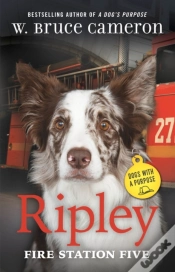 Capa do artigo Ripley: Fire Station Five