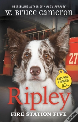 Capa do artigo Ripley: Fire Station Five