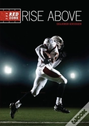 Capa do artigo Rise Above