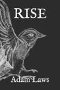 Rise - Preview