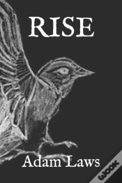 Capa do artigo Rise