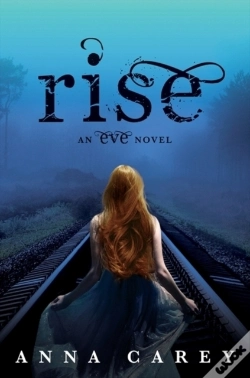 Capa do artigo Rise
