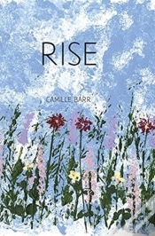 Capa do artigo Rise