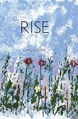 Capa do artigo Rise
