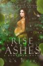Rise From The Ashes - Preview