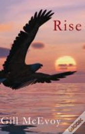 Capa do artigo Rise