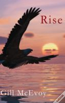Capa do artigo Rise