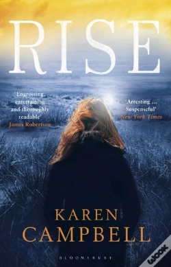 Capa do artigo Rise