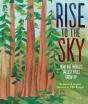 Rise To The Sky - Preview