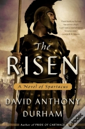 Capa do artigo Risen