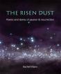 Risen Dust - Preview