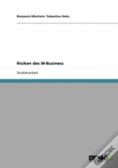 Risiken Des M-Business