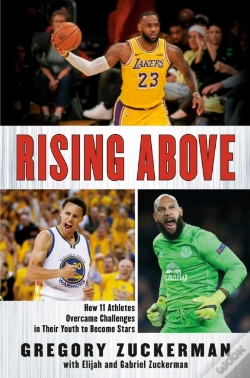 Capa do artigo Rising Above