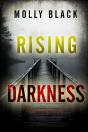 Rising Darkness (A Cassandra Fierce Suspense Thriller—Book Five) - Preview