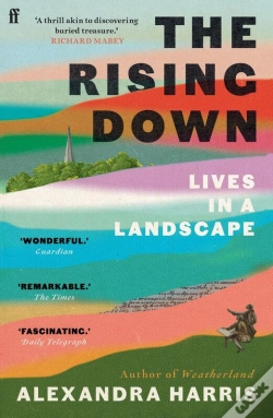 Capa do artigo Rising Down