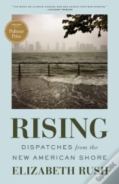 Capa do artigo Rising