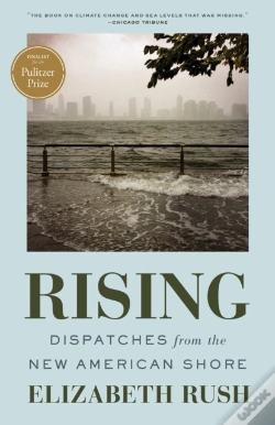 Capa do artigo Rising