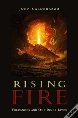 Capa do artigo Rising Fire