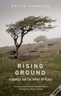 Capa do artigo Rising Ground