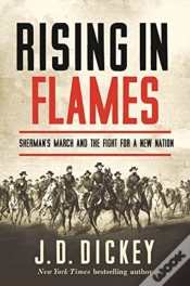 Capa do artigo Rising In Flames