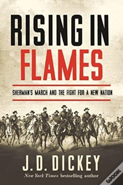 Capa do artigo Rising In Flames