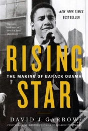 Capa do artigo Rising Star