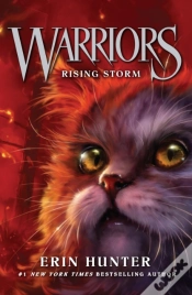 Capa do artigo Rising Storm