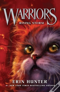 Capa do artigo Rising Storm
