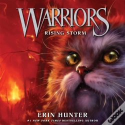 Capa do artigo Rising Storm