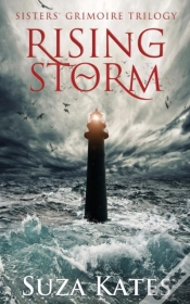 Capa do artigo Rising Storm